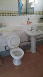 Blk 501 Pasir Ris Street 52 (Pasir Ris), HDB Executive #436558231